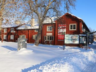 Trendiga hårfärger för vintern 2023 illustration