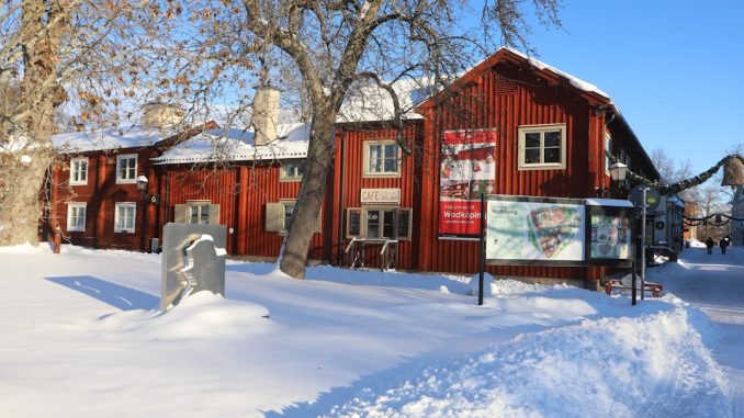 Trendiga hårfärger för vintern 2023 illustration